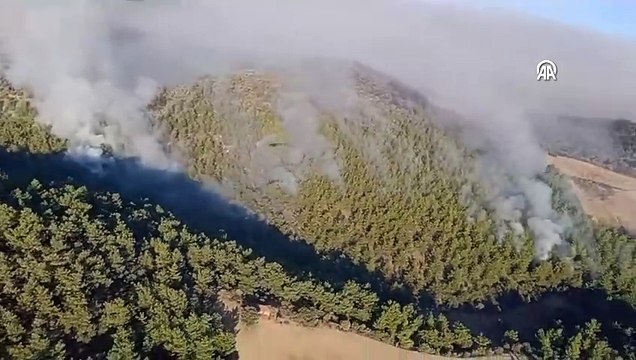 İzmir ve Manisa'da orman yangını! havadan ve karadan müdahale ediliyor