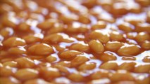 Bean There, Done That: US vs UK in the Great Baked Beans Debate