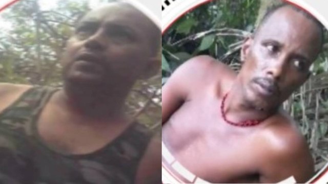 Estos son los cabecillas del ELN que liderarían el paro armado en Chocó