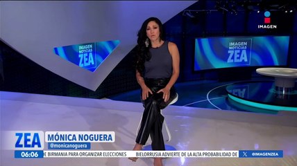 Abandonan contenedores con restos de tortugas en Ciudad Juárez, Chihuahua