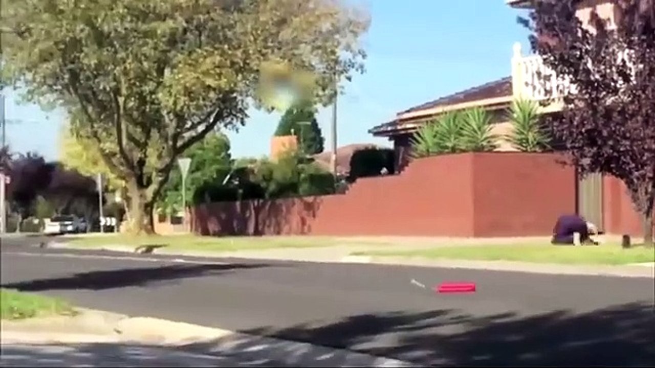 Funny Arab Public Bomb Scare Prank video