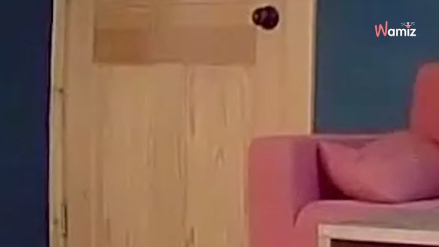 Ils installent une caméra de surveillance à la maison : ce que fait leur chien à chaque départ leur brise le cœur (vidéo)