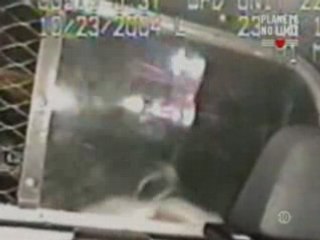 Flics et furieux 23(2)