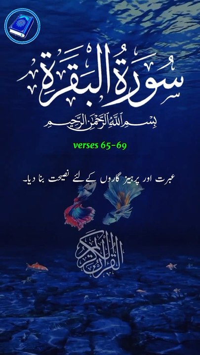 Surah Al Baqarah verses 65-69 Urdu translat Short video _shortvideo _alquran _youtubeshort _shors(720P_HD)