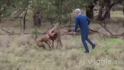 Prime Minister Shehbaz Sharif latest video