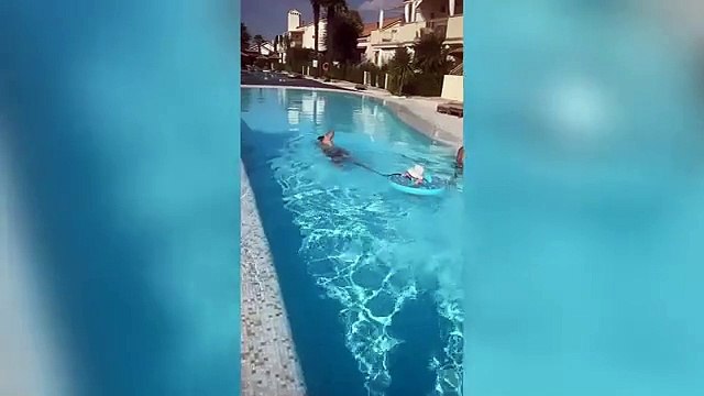 Federica Pellegrini, le prime vasche (con papà Matteo Giunta) della figlia Matilde