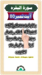 Al-Quran - Surah 2 - Al-Baqara - Ayah 80 | hafiz salman ali