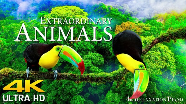 Beautiful Relaxing Music Stop Overthinking & Relieve Stress | Gentle Music for Inner Peace, calming sounds, stress reduction music,