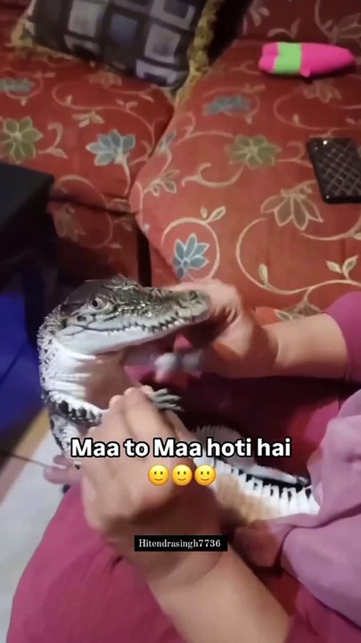 Mom lover