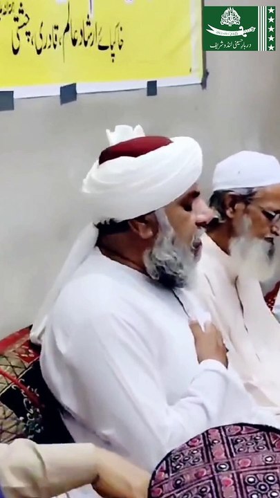 Sahibzada Ghazi Muhammad Shahadat Irfan Ali Alvi Meharvi Naseervi