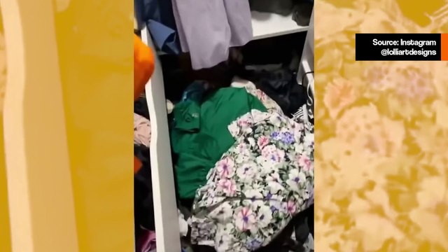 Hulvaton video: kissat näyttävät tuhoisaa voimaansa omistajiensa vaatteiden kanssa