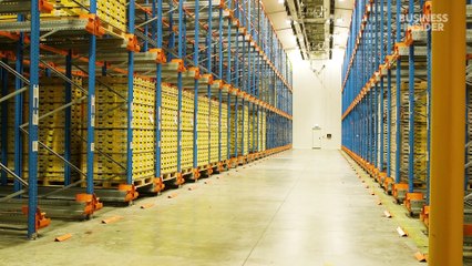 How a $1 Billion Gold Kiwi Breed Transformed New Zealand’s Fruit Industry 🍈