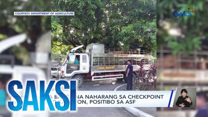 Mga baboy na naharang sa checkpoint sa QC kahapon, positibo sa ASF | Saksi
