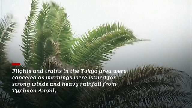 Evacuation Ordered in Northern Japan, Flights and Trains Canceled in Tokyo as Typhoon Approaches