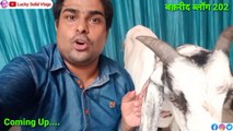 Eid Mubarak 2024 | Gorakhpur Bakrid Vlogs | Daily Vlog | Lucky Solid Vlogs | Gorakhnath Vlog | Vlogs