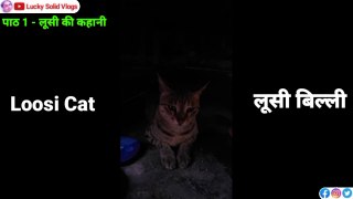 Loosi Ki Kahani Part 1| Gorakhpur Vlog | Pet Vlog | Cat Story Video | Lucky Solid Vlogs | Pet Shop