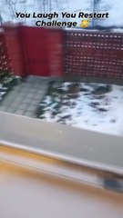 Funny Cat | No Laugh Challenge! #funnycats #catvideos