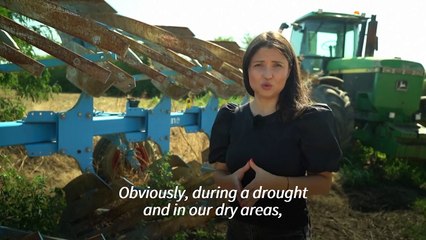 Romanian farms wilt as climate change brings persistent drought