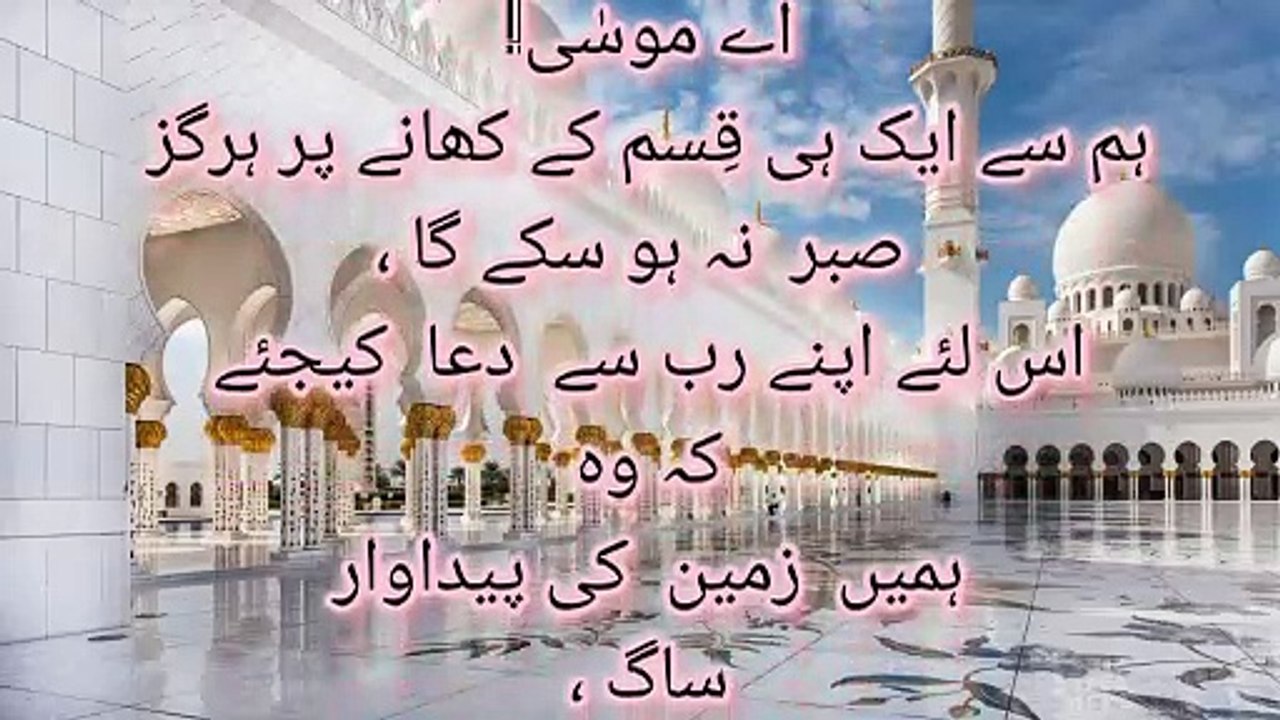 Surah al baqarah | Quran verse| Islam | islamic video|