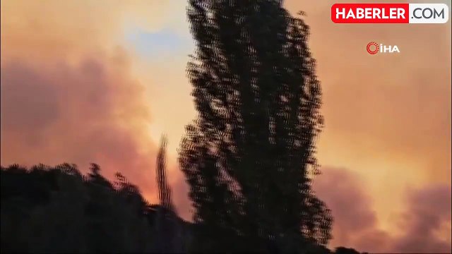 Bozdoğan yangınında yerleşim yerleri tahliye ediliyor
