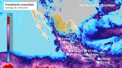La importancia de los bosques por sus servicios ambientales