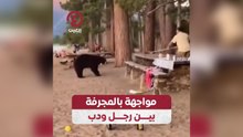 مواجهة بالمجرفة بين رجل ودب