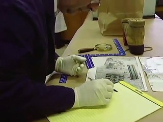 Experts de l'ombre _ Quand les images parlent