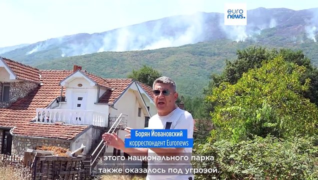 На границе Северной Македонии и Албании — лесные пожары