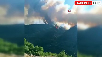 Bozdoğan'daki orman yangını için Muğla sınırında önlem alındı