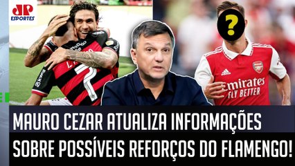 REFORÇO EUROPEU? "Ele FOI OFERECIDO ao Flamengo, mas EU APUREI que..." Mauro Cezar DÁ INFORMAÇÃO!