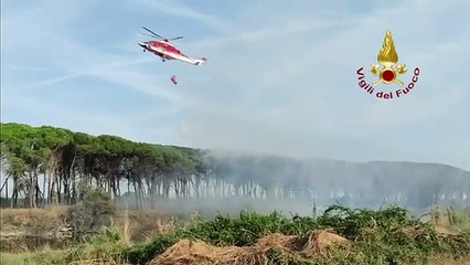 Скачать видео: Ravenna, il video dell'incendio alla pineta di Punta Marina