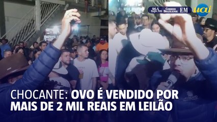 Chocante: Ovo de galinha é arrematado por R$ 2,6 mil em Minas