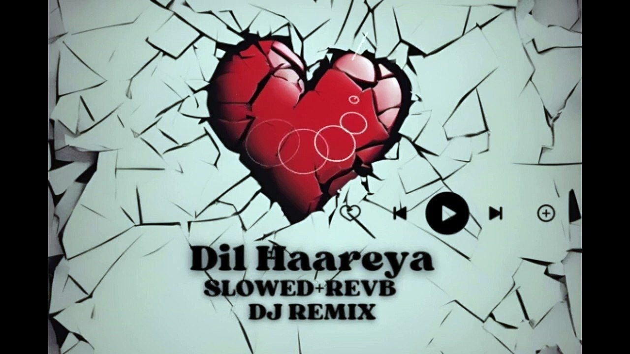 DIL _HAAREYA_DJ REMIX_SLOWED&REVEB_HEART BACKGROUND
