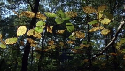 BBC Life in Cold Blood E02 Land Invaders