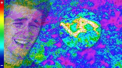 I Survived A Plane Crash