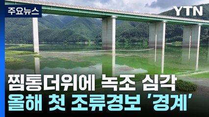 찜통더위에 '녹조 확산' 비상...먹는 물 걱정까지 / YTN