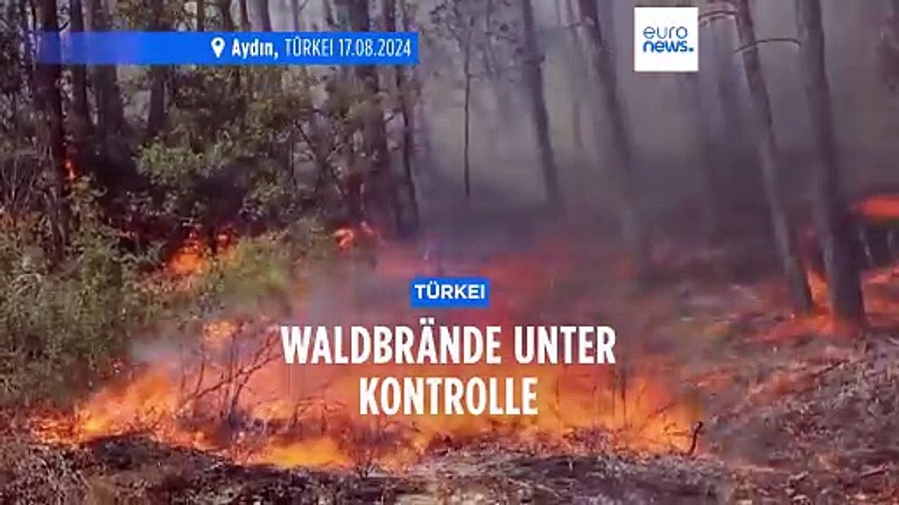 Die meisten Waldbrände in der Westtürkei unter Kontrolle