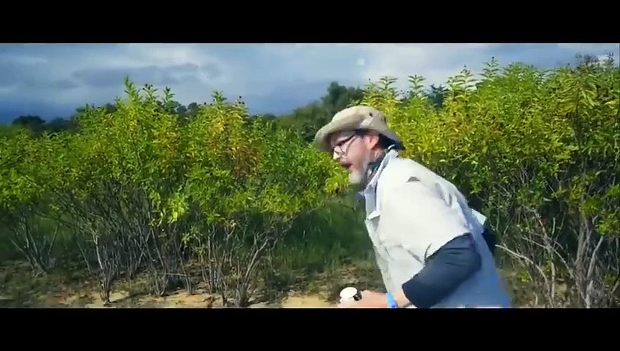 RABIA DE TIBURÓN  PELICULA  PELICULA DE ACCION EN ESPANOL LATINO HD