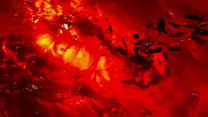 Pamela Storch - Horizon of the Lion's Gate (Official Music Video)