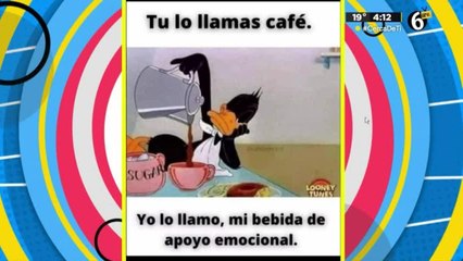 ¿Insoportable si no tomas café? expertos dicen porqué
