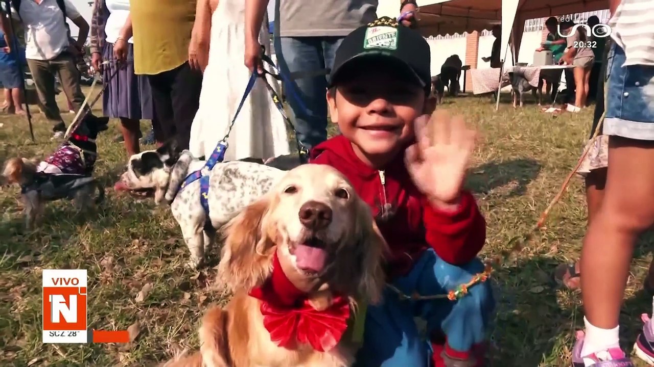 perro con machetazo en la cara