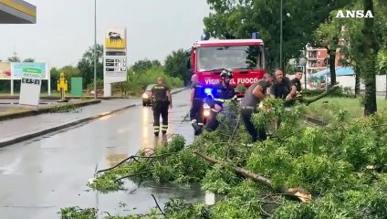 Download Video: Maltempo, nubifragio a Torino: caduti alberi e danneggiamenti