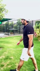 Lion feeding her Kids Wildlife