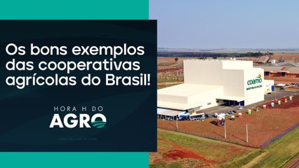 Caso de sucesso: número de agricultores da Coamo salta de 79 para 32 mil | HORA H DO AGRO