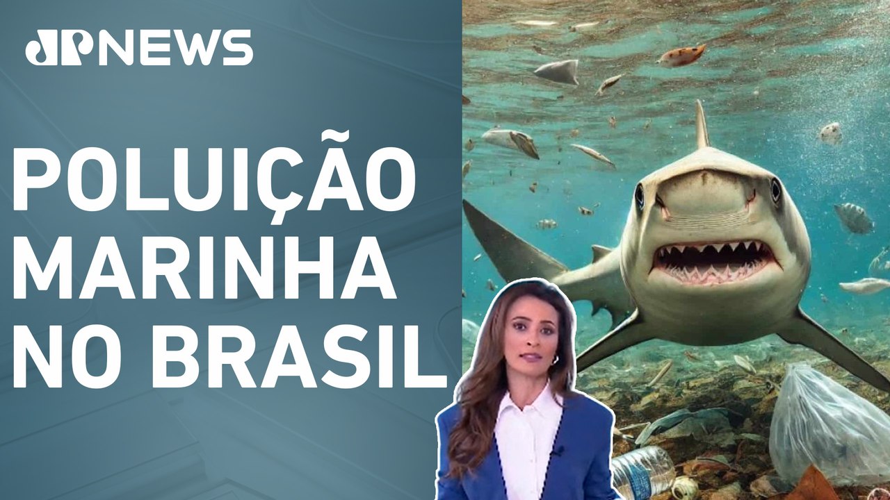 Pesquisadores encontram tubarões contaminados com resíduos de celulares; Patrícia Costa analisa