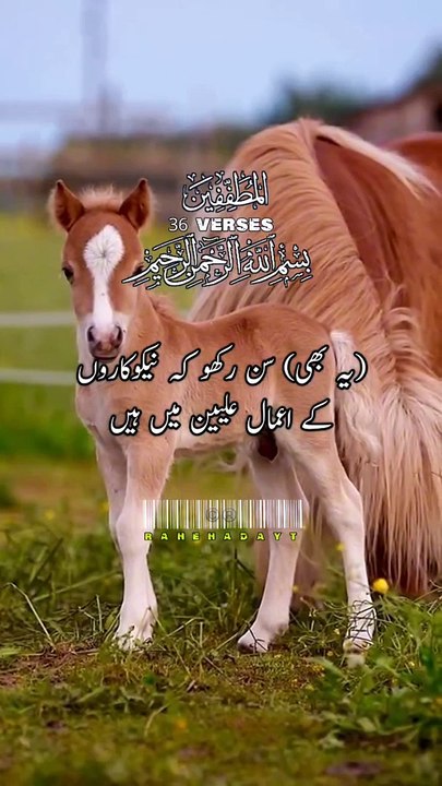 Nap aor tol me kami krna walo ke khrabi ha