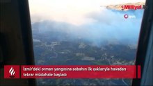 İzmir'deki orman yangınına havadan tekrar müdahale başladı