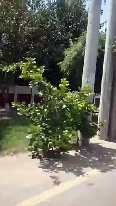 Nice song  beautiful place 