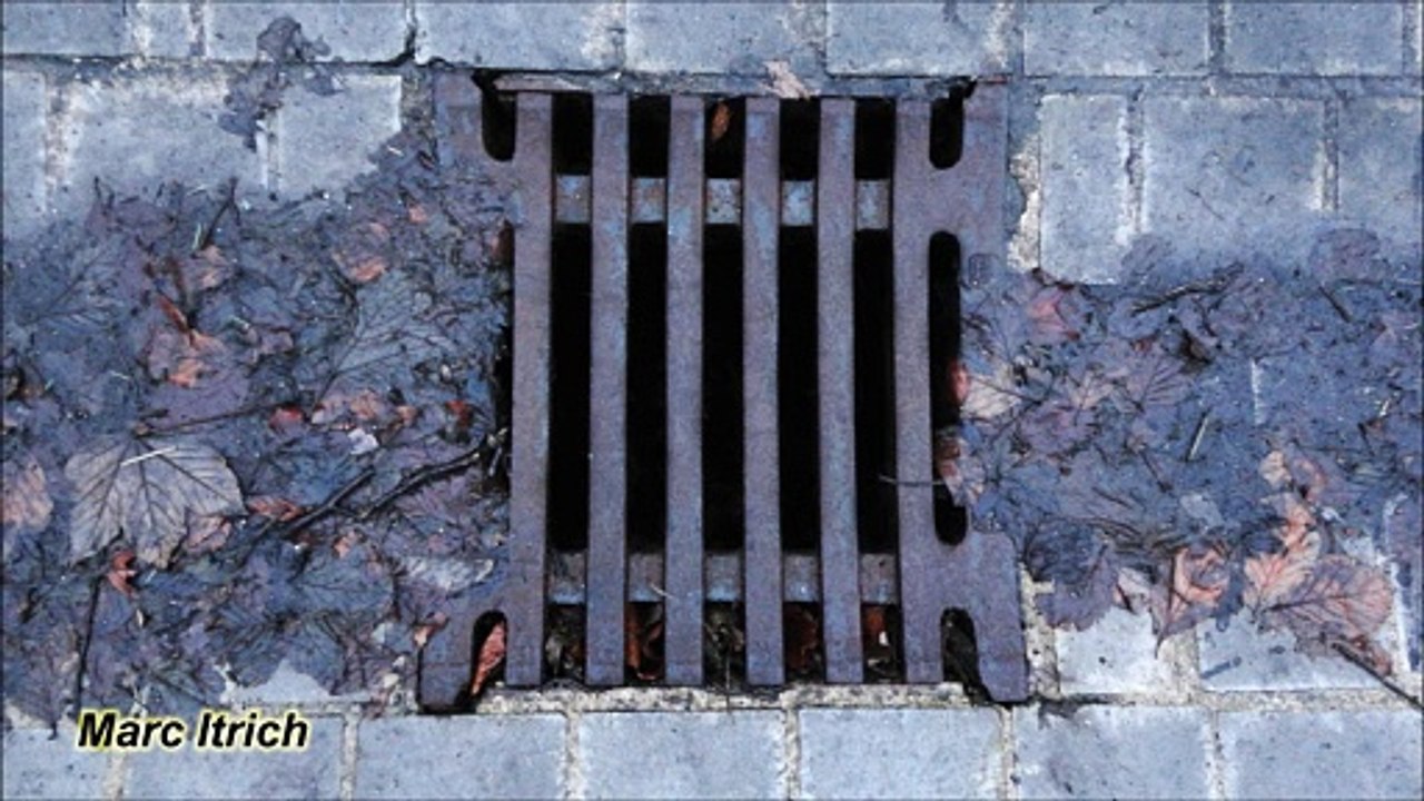 Märchenstunde 1 – Rapunzels kurze Haare