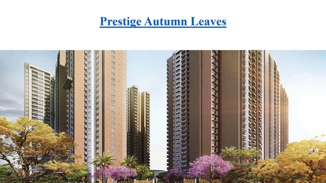 Prestige Autumn Leaves